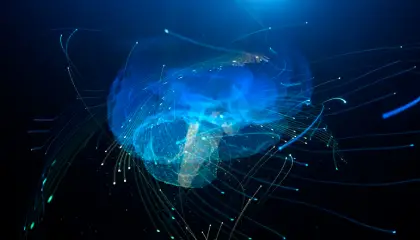 Agentic Smart Community